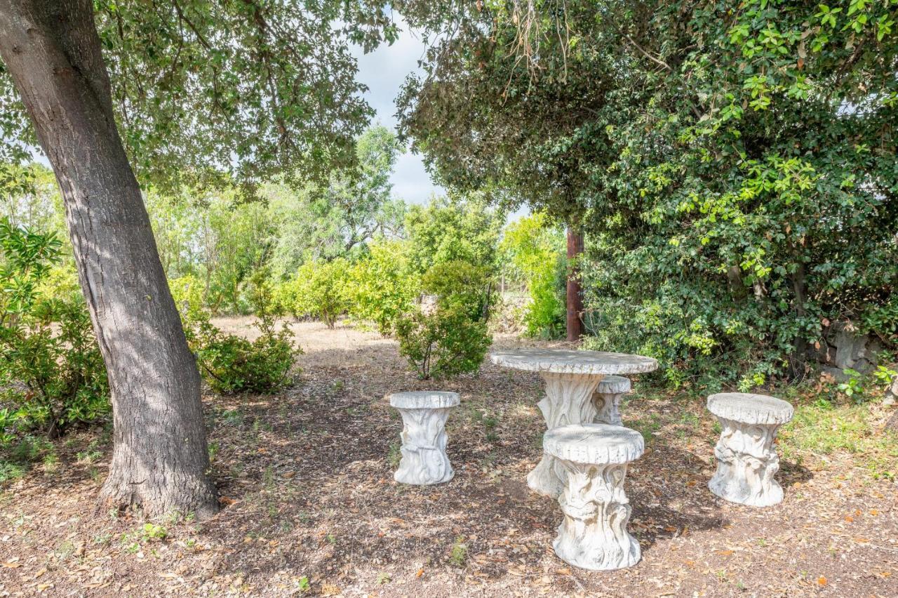 Pou Petit Villa Pollença